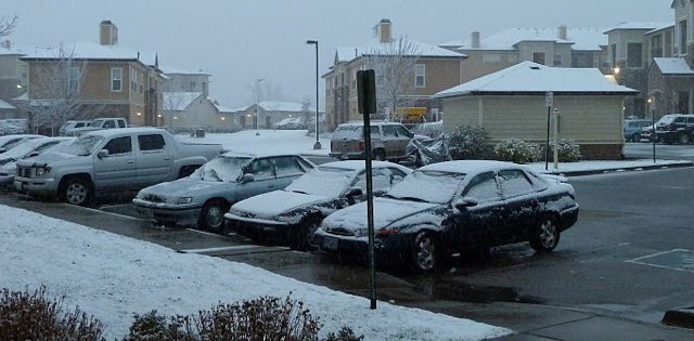 Jimmy's first snow in Colorado